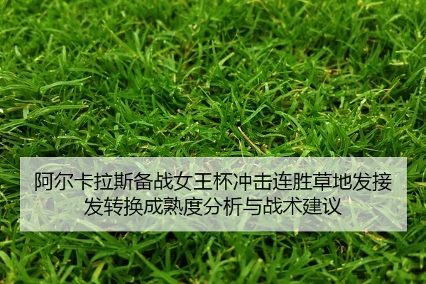 a-er-ka-la-si-bei-zhan-nv-wang-bei-chong-ji-lian-sheng-cao-di-fa-jie-fa-zhuan-huan-cheng-shu-du-fen-xi-yu-zhan-shu-jian-2-470.jpg