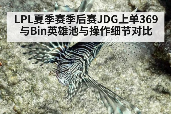 LPL夏季赛季后赛JDG上单369与Bin英雄池与操作细节对比